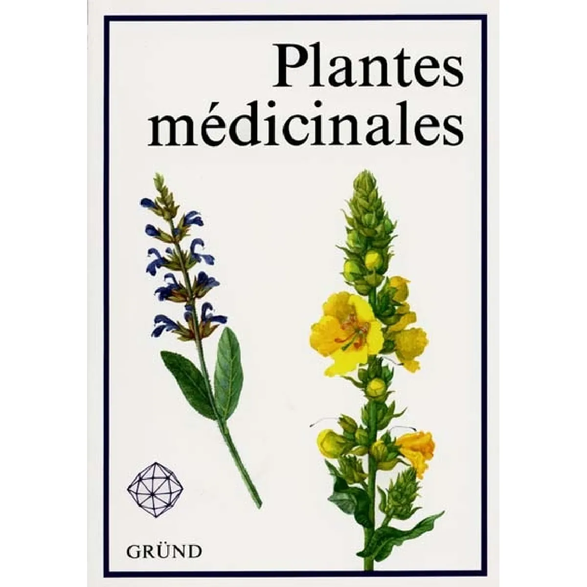 Plantes médicinales
