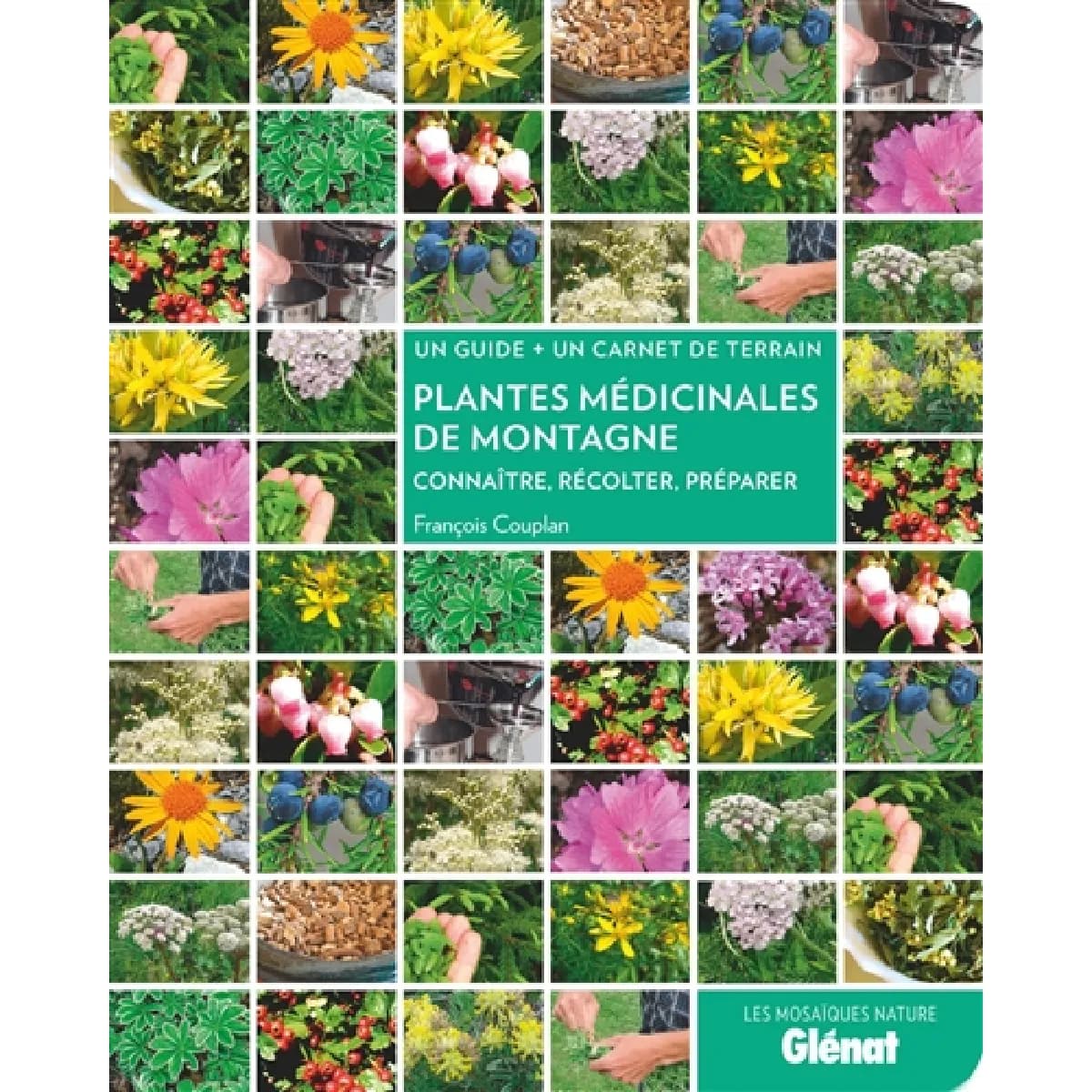 Plantes médicinales de montagne : connaître, récolter, préparer : un guide + un carnet de terrain