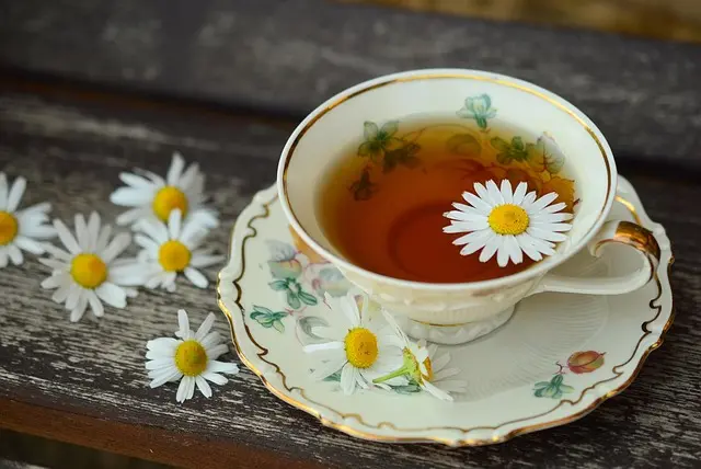 10 Plantes Médicinales Indispensables à Intégrer dans Votre Vie