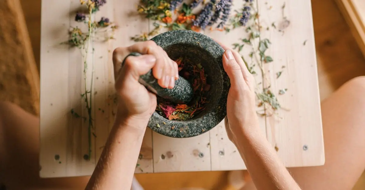 Les Plantes Médicinales : Bienfaits et Utilisations Essentielles