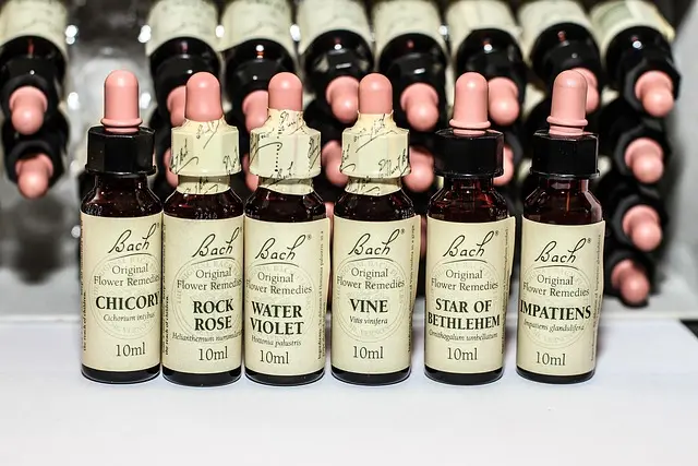 10 remèdes traditionnels pour renforcer votre immunité