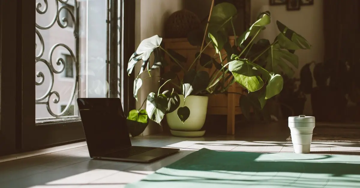 L'impact du Feng Shui sur le bien-être en médecine traditionnelle
