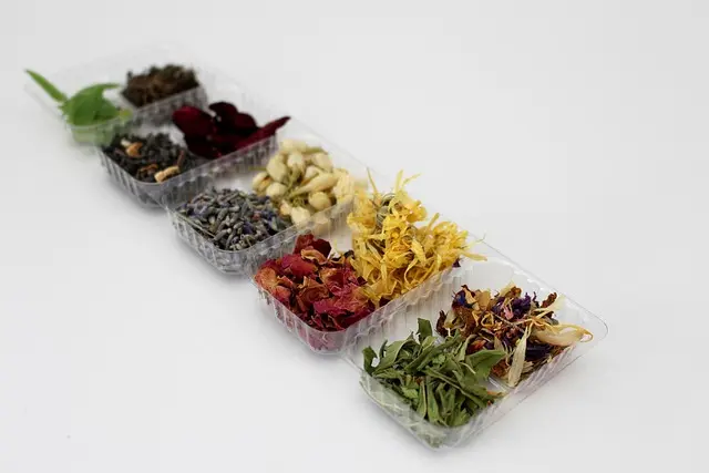 Les vertus médicinales des plantes : guide des essentielles