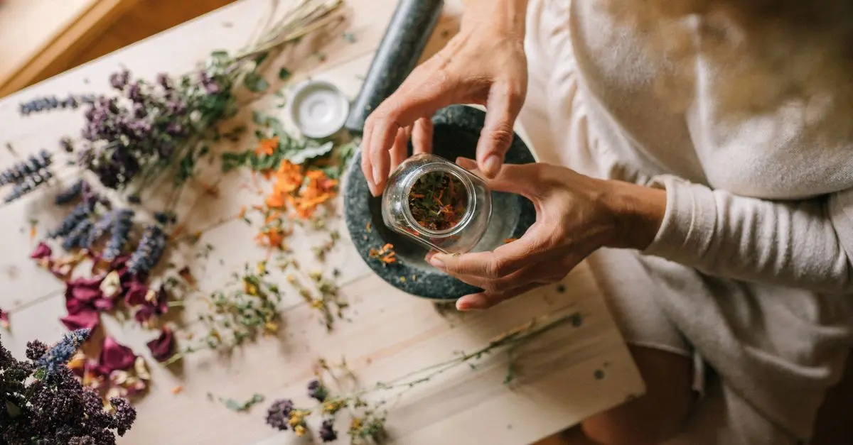 La médecine traditionnelle au quotidien : conseils pratiques