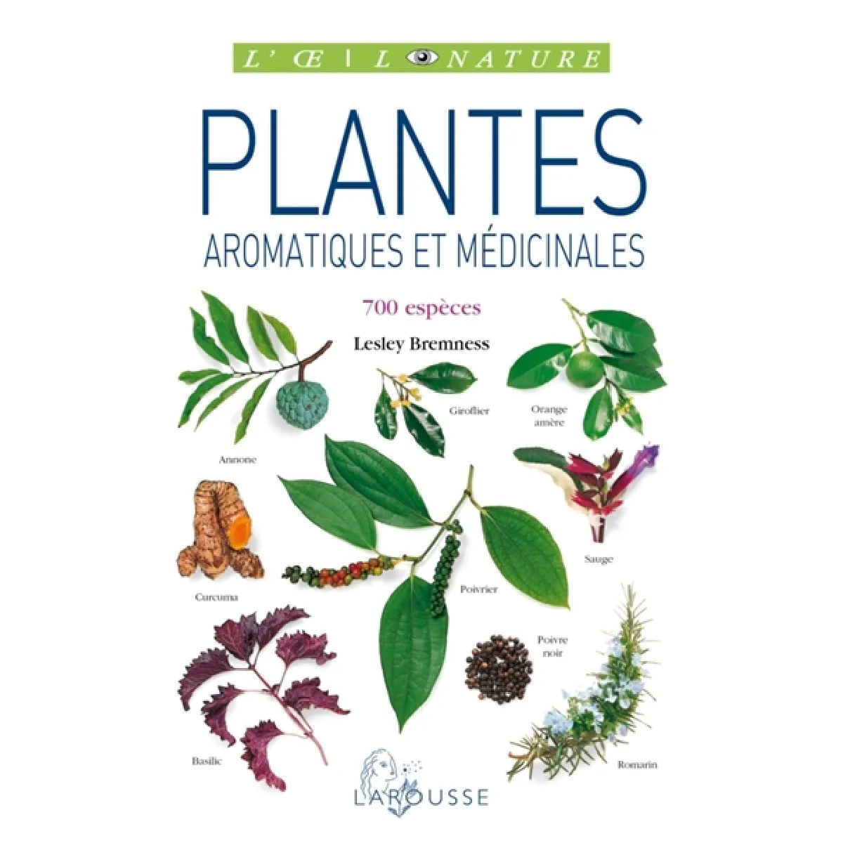 Plantes aromatiques et médicinales : 700 espèces