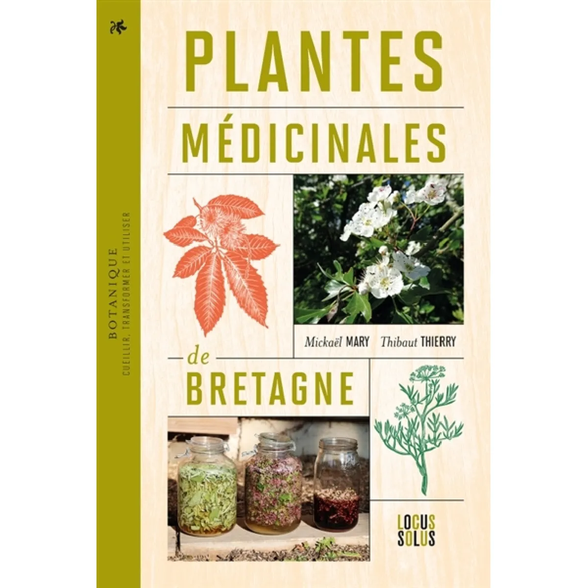 Plantes médicinales de Bretagne : cueillir, transformer et utiliser