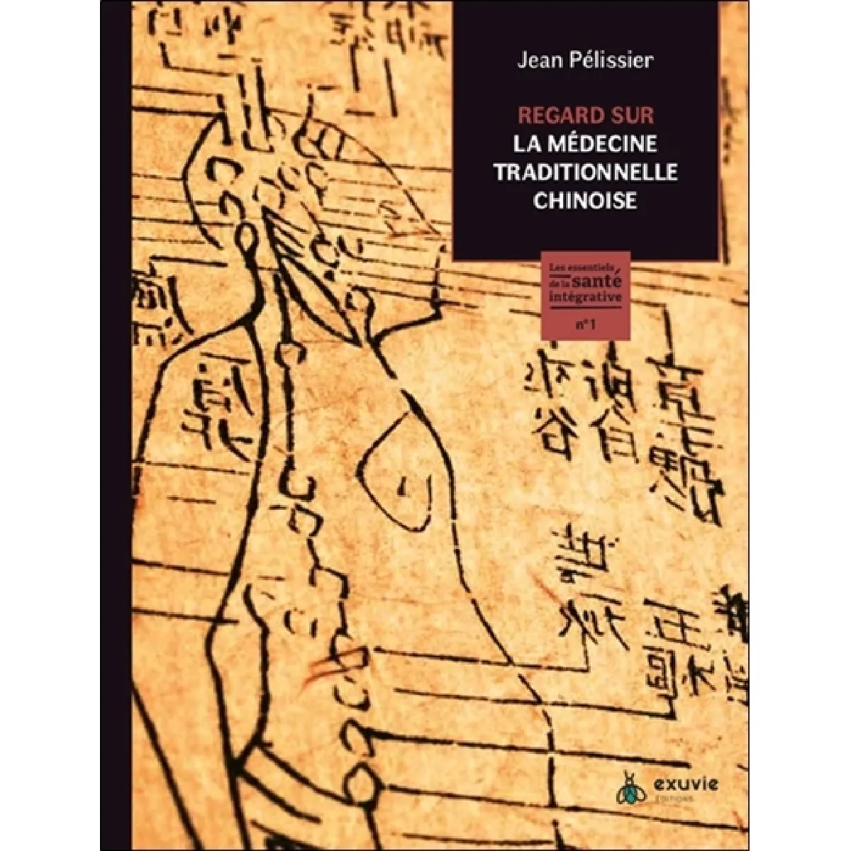 Regard sur la médecine traditionnelle chinoise