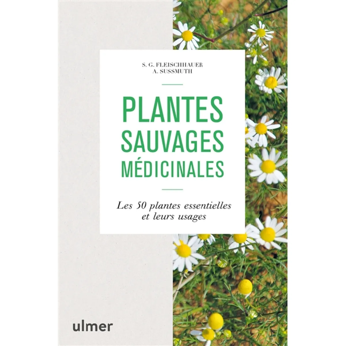 Plantes sauvages médicinales : les 50 plantes essentielles et leurs usages